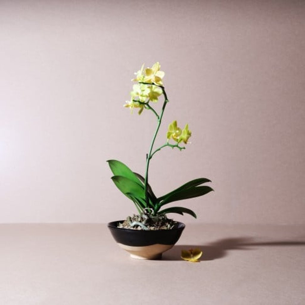Participants from Hong Kong and Tsunan exchange their bowls and stories to create A Bowl of Life. anothermountainman displayed the bowl in its damaged form for authenticity. Participants from Hong Kong and Tsunan exchange their bowls and stories to create A Bowl of Life. anothermountainman displayed the bowl in its damaged form for authenticity.